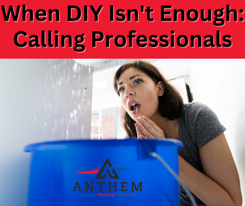 When DIY Isn't Enough: Calling Professionals